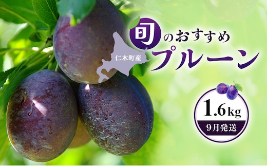 [2026年発送] 【9月発送】北海道 仁木町産 おすすめプルーン1.6kg（400g×4パック） 果物類 果物 くだものフルーツ 果物詰合せ プルーン [和田農園]