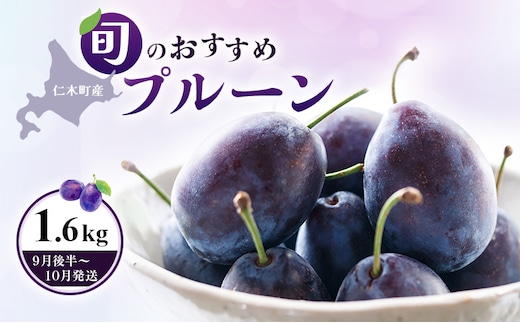 [2026年発送] 【9月後半～10月発送】北海道 仁木町産 おすすめプルーン1.6kg（400g×4パック） 果物類 果物 くだものフルーツ 果物詰合せ プルーン [和田農園]
