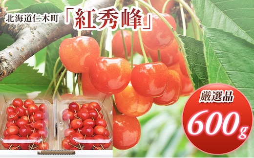 先行受付 北海道 仁木町産 さくらんぼ 紅秀峰 600g(300g×2パック) Lサイズ以上 旬 桜桃 産地直送 サクランボ チェリー フルーツ 果物 果物類 仁木町 仁木 [松山商店]