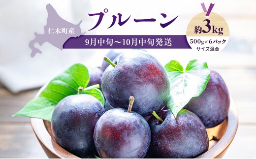 [2026年発送] 【9月中旬～10月中旬出荷】 北海道 仁木町産 プルーン 約3kg（500g×6パック）サイズ混合 果物類 フルーツ 果物 詰合せ セット [くだもの直売 もり園]