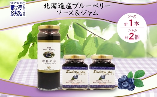 北海道産 ブルーベリーソース 200g 1本 ブルーベリージャム 180g 2個セット ジャム瓶 ブルーベリー 詰め合わせ フルーツ 果物 自然農園 お取り寄せ ギフト 贈り物 産地直送 のし 北海道 仁木町 