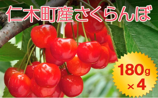 北海道 仁木町産 さくらんぼ 720g（180g×4パック） 2Lサイズ以上 「佐藤錦」もしくは「紅秀峰」 旬の果物 産地直送 サクランボ チェリー フルーツ 果物 果物類 北海道産 仁木町 仁木 [JA新おたる]