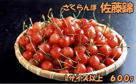 先行受付 北海道 仁木町産 さくらんぼ 佐藤錦 600g（300g×2パック）Lサイズ以上 旬の果物 産地直送 サクランボ チェリー フルーツ 果物 果物類 仁木町 仁木 [JA新おたる]