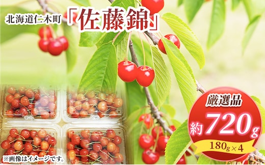 先行受付 北海道 仁木町産 さくらんぼ 佐藤錦 720g (180g×4パック) Lサイズ以上 旬 桜桃 産地直送 サクランボ チェリー フルーツ 果物 果物類 仁木町 仁木 [松山商店]