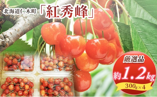 先行受付 北海道 仁木町産 さくらんぼ 紅秀峰 1.2kg (300g×4パック) Lサイズ以上 旬 桜桃 産地直送 サクランボ チェリー フルーツ 果物 果物類 仁木町 仁木 [松山商店]