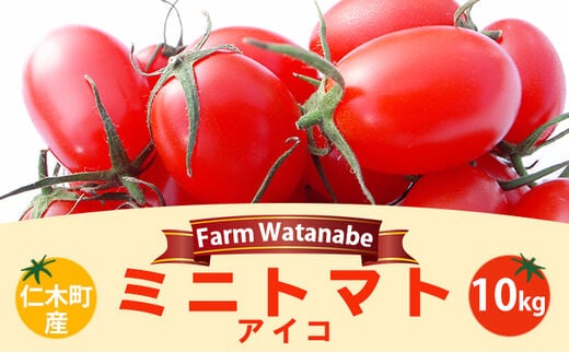 トマト 10kg キャロル10 【糖度9以上】北海道産-