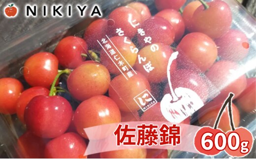 さくらんぼ 2027年発送 北海道 仁木町産 佐藤錦 600g(300g×2)Lサイズ以上 ジューシー 旬のフルーツ 旬の果物 国産 日本産 サクランボ チェリー フルーツ 果物 果物類 ギフト 仁木町 [ジャパーナプランニング株式会社]