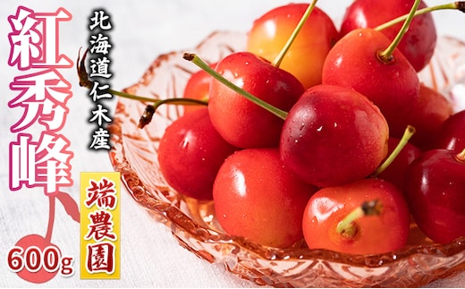 先行受付 北海道 仁木町産 さくらんぼ 南陽 600g（300g×2パック） 北海道知事賞受賞農園 デザート スイーツ 最優秀賞 おすすめ 美味しい サクランボ チェリー フルーツ 果物 果物類 仁木町 仁木 [端農園]