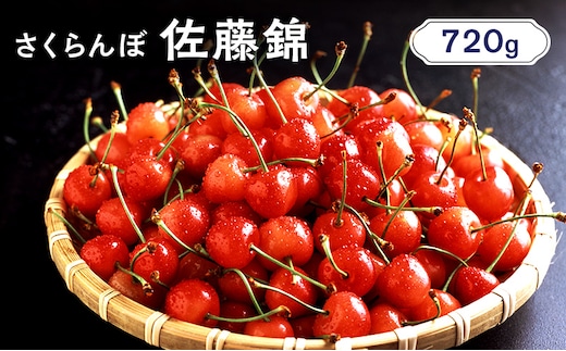 先行受付 北海道 仁木町産 さくらんぼ 佐藤錦 720g （180g×4パック） 美味しい 人気 おすすめ お裾分け サクランボ チェリー フルーツ 果物 果物類 仁木町 仁木 [JA新おたる]
