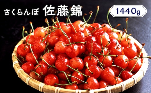 先行受付 北海道 仁木町産 さくらんぼ 佐藤錦 1440g（180g×8パック） 美味しい 人気 おすすめ お裾分け サクランボ チェリー フルーツ 果物 果物類 仁木町 仁木 [JA新おたる]