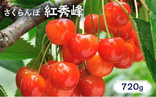北海道 仁木町産 さくらんぼ 紅秀峰 720g（180g×4パック） 美味しい 人気 おすすめ お裾分け サクランボ チェリー フルーツ 果物 果物類 仁木町 仁木 [JA新おたる]