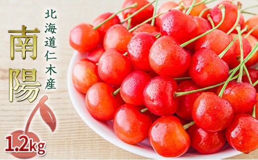 2027年発送 北海道 仁木町産 さくらんぼ 南陽 1.2kg（300g×4パック） 美味しい 人気 おすすめ お裾分け サクランボ チェリー フルーツ 果物 果物類 仁木町 仁木 [JA新おたる]