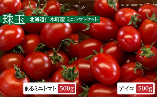 北海道仁木町 【珠玉】まるミニトマト500g&アイコ500g | dショッピング