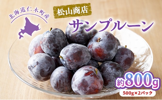 [先行受付] 北海道仁木町産 プルーン 800g ( サンプルーン ) 厳選品 果物 フルーツ 国産 高糖度 ほどよい酸味 北海道産プルーン 国産プルーン [松山商店]