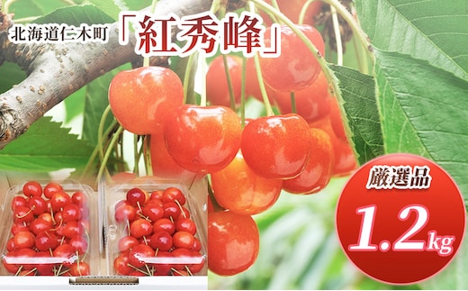 先行受付 北海道 仁木町産 さくらんぼ 紅秀峰 1.2kg (300g×4パック) L-Mサイズ 混合 旬 桜桃 産地直送 サクランボ チェリー フルーツ 果物 果物類 仁木町 仁木 [松山商店]