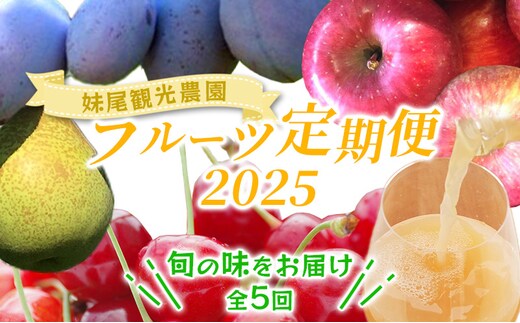 妹尾農園のフルーツ定期便2024［全5回］ 北海道 仁木 さくらんぼ