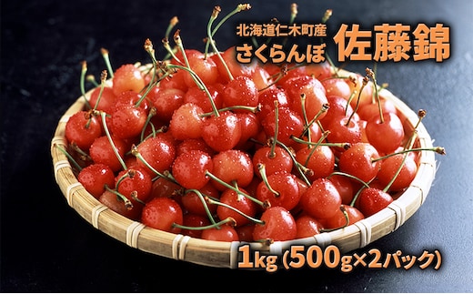 2027年発送 北海道 仁木町産 さくらんぼ 佐藤錦 1kg（500g×2パック） 旬の果物 産地直送 旬のフルーツ サクランボ チェリー フルーツ 果物 果物類 仁木町 仁木 [JA新おたる] 