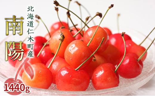 先行受付 北海道 仁木町産 さくらんぼ 南陽 1440g（180g×8パック）旬 厳選 蓋つき お裾分け おすすめ 美味しい サクランボ チェリー フルーツ 果物 果物類 仁木町 仁木 [JA新おたる] 