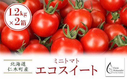 [先行受付/2026年産][栽培期間中 農薬・化学肥料不使用] 北海道 仁木町産 ミニトマト エコスイート 1.2kg×2箱 サイズ混載 トマト野菜 やさい [Farm Watanabe]