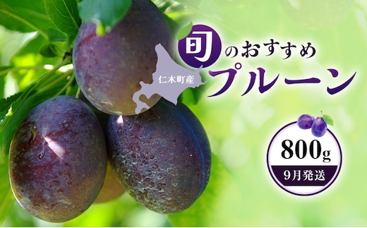 [2026年発送]【9月発送】北海道 仁木町産 おすすめ プルーン 800g（400g×2パック） 果物類 果物 くだもの フルーツ 果物詰合せ [和田農園]
