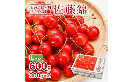 2027年発送 北海道 仁木町産 さくらんぼ 佐藤錦 300g×2P Lサイズ サクランボ チェリー フルーツ 果物 果物類 仁木町 仁木 [林果樹園]