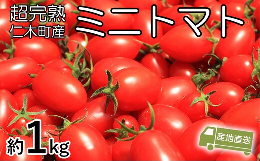 8月発送開始[先行受付] 超完熟ミニトマト【アイコ】1kg 栽培期間中 農薬・除草剤不使用 サイズ混載 トマト ミニトマト アイコ 野菜 北海道 仁木町 [アイコファーム] 
