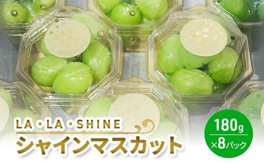 [2026年発送] シャインマスカット『 LA・LA・SHINE （ ラ・ラ・シャイン ）』 180g×8パック 果物 くだもの フルーツ マスカット [JA新おたる]