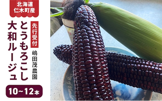[2027年発送] 北海道 仁木町産 新鮮 とうもろこし 大和ルージュ【10～12本】トウモロコシ コーン 野菜 やさい 北海道産 コーン [嶋田茂農園]
