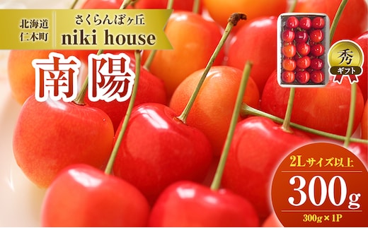  [先行受付] さくらんぼ 南陽 2Lサイズ 以上 300g（300g×1パック） 化粧箱入 サクランボ チェリー フルーツ 果物 果物類 ギフト 贈答品 北海道 仁木町 仁木 [小林信幸]