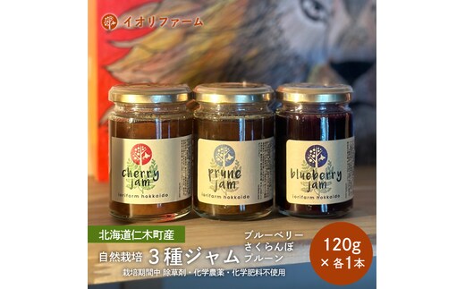 北海道 仁木町産 ジャム120g×3種セット（ブルーベリー・プルーン・さくらんぼ） 栽培期間中 除草剤・化学農薬・化学肥料不使用 サクランボ 果物 フルーツ イオリファーム [iori farm]