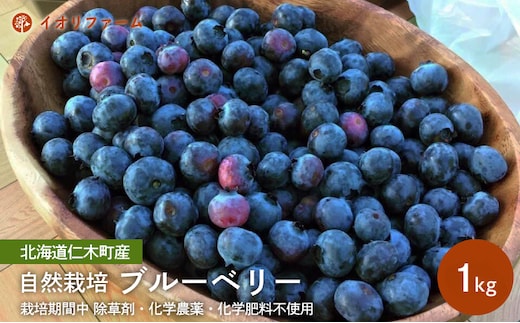 [先行受付]北海道 仁木町産 ブルーベリー1kg 栽培期間中 除草剤・化学農薬・化学肥料不使用【日付指定不可】果物 くだもの フルーツ フレッシュ イオリファーム [iori farm]