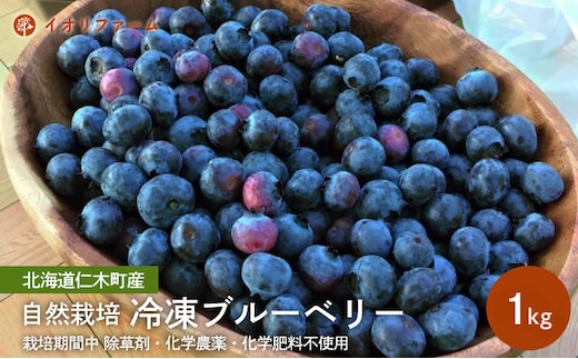 北海道 仁木町産 冷凍ブルーベリー1kg 栽培期間中 除草剤・化学農薬・化学肥料不使用【日付指定不可】果物 くだもの フルーツ 冷凍 イオリファーム [iori farm]