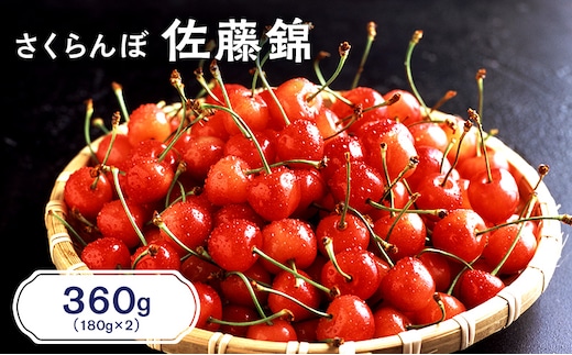 先行受付 北海道 仁木町産 さくらんぼ 佐藤錦 360g（180g×2パック） サクランボ チェリー フルーツ 果物 果物類 仁木町 仁木 [JA新おたる]