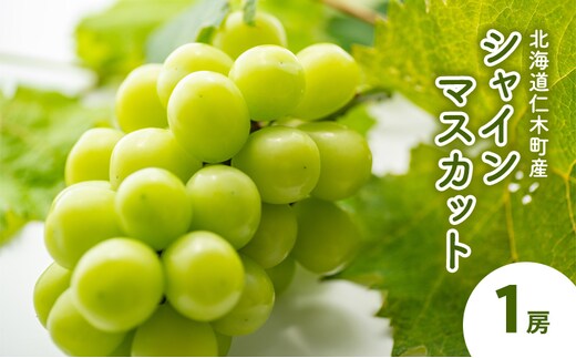 [2026年発送] 北海道 仁木町産 シャインマスカット 1房 約350g ぶどう マスカット 果物 くだもの フルーツ 季節のフルーツ [鶴田農園]