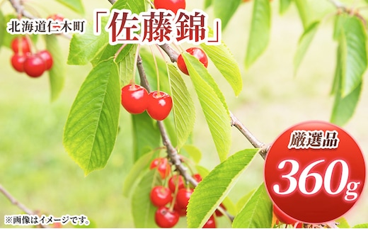 先行受付 北海道 仁木町産 さくらんぼ 佐藤錦 360g (180g×2パック)Lサイズ以上 旬 桜桃 産地直送 サクランボ チェリー フルーツ 果物 果物類 仁木町 仁木 [松山商店]
