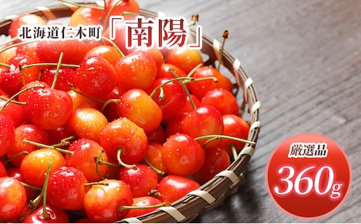 先行受付 北海道 仁木町産 さくらんぼ 南陽 360g （180g×2パック） Lサイズ以上 旬 桜桃 産地直送 サクランボ チェリー フルーツ 果物 果物類 仁木町 仁木 [松山商店]
