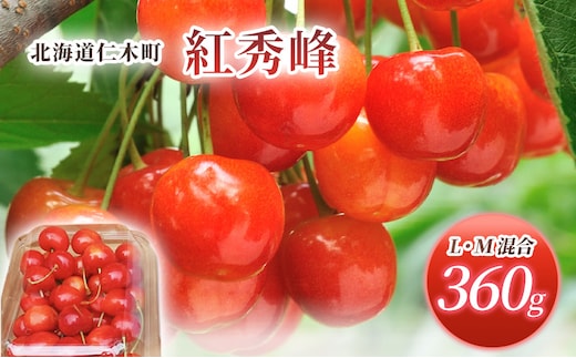 先行受付 北海道 仁木町産 さくらんぼ 紅秀峰 360g (180g×2パック) L-Mサイズ 混合 旬 桜桃 産地直送 サクランボ チェリー フルーツ 果物 果物類 仁木町 仁木 [松山商店]