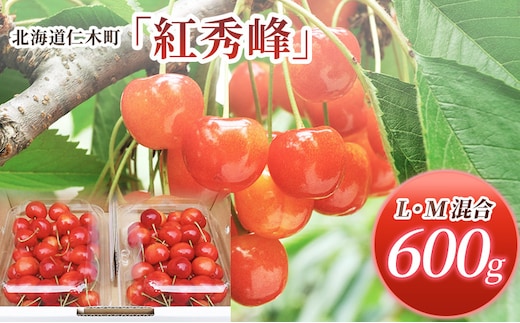 先行受付 北海道 仁木町産 さくらんぼ 紅秀峰 600g (300g×2パック) L-Mサイズ 混合　旬 桜桃 産地直送 サクランボ チェリー フルーツ 果物 果物類  仁木町 仁木 [松山商店]