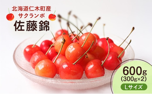 先行受付 北海道 仁木町産 さくらんぼ 佐藤錦 600g （300g×2） L以上 旬の果物 サクランボ チェリー フルーツ 果物 果物類 仁木町 仁木 [UMIX FARM]