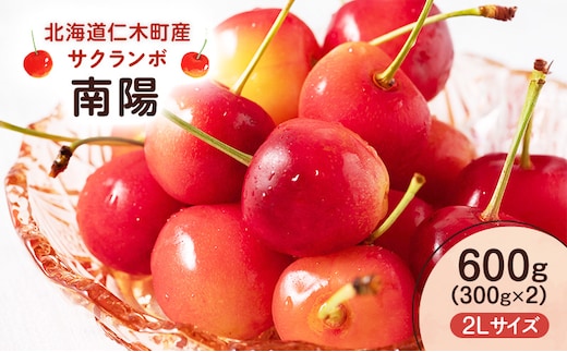 先行予約 北海道 仁木町産 さくらんぼ 南陽 600g （300g×2） 2L以上 旬の果物 サクランボ チェリー フルーツ 果物 果物類 仁木町 仁木 [UMIX FARM]