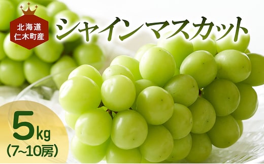 [先行受付] 北海道 仁木町産 シャインマスカット 7～10房 5kg 果物 ぶどう フルーツ 果物類 ブドウ マスカット [JA新おたる]