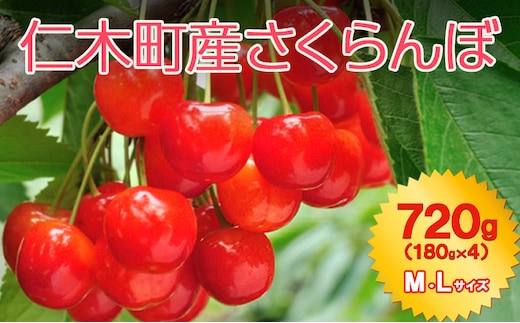 北海道 仁木町産 7月旬 さくらんぼ 720g （180g×4） Ｍ・Ｌサイズ サクランボ チェリー フルーツ 果物 果物類 仁木町 仁木 [JA新おたる]