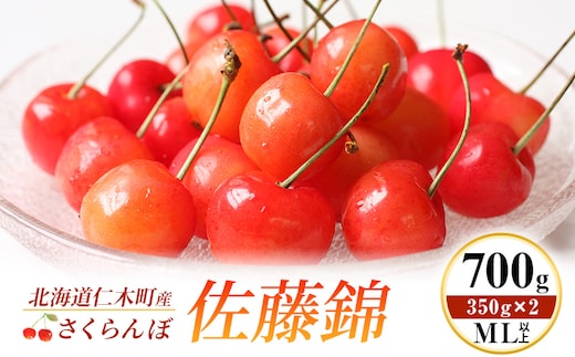 2027年発送 北海道 仁木町産 さくらんぼ 佐藤錦 700g (350g×2) ML以上 旬の果物 サクランボ チェリー フルーツ 果物 果物類 仁木町 仁木 [伊賀農園]