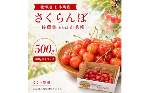 2027年発送 北海道 仁木町産 さくらんぼ 500g 佐藤錦または紅秀峰 果樹 サクランボ チェリー フルーツ 果物 果物類 ギフト 仁木町 仁木 [くくり農園]