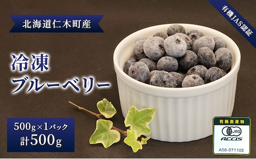 先行受付 【有機JAS認証】北海道仁木町産オーガニック冷凍ブルーベリー 500g×1パック 計500g 果物 フルーツ 冷凍フルーツ 有機栽培 樹上完熟 手摘み トッピング [株式会社 自然農園]