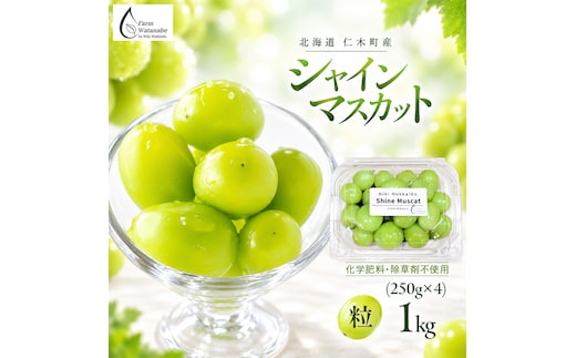 【2026年産】北海道 仁木町産 シャインマスカット 粒 1kg (250g×4) 化学肥料・除草剤不使用 ぶどう フルーツ 果物 くだもの [Farm Watanabe]
