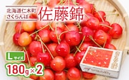 先行受付 北海道 仁木町産 さくらんぼ 佐藤錦 180g×2P Lサイズ   サクランボ チェリー フルーツ 果物 果物類 仁木町 仁木 [林果樹園]