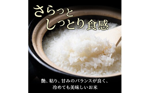 精米15kg)ホクレン北海道ななつぼし(精米5kg×3袋) 北海道米 お米 白米