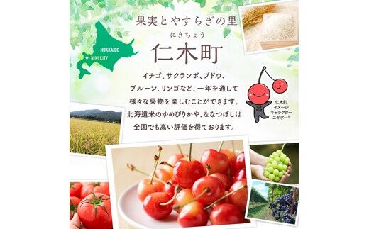 精米15kg)ホクレン北海道ななつぼし(精米5kg×3袋) 北海道米 お米 白米