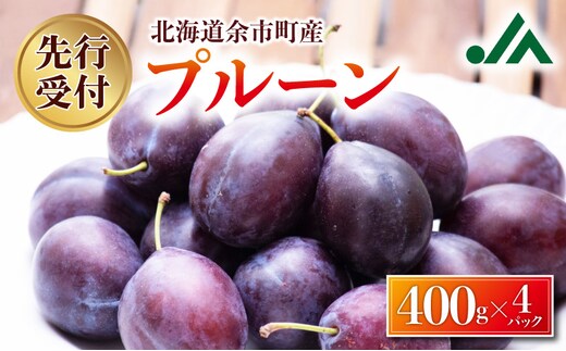 【2026年9月上旬発送分先行予約】プルーン 400g×4パック_Y010-0526